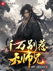 书名叫千万别惹大师兄