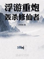 浮游炮可能存在吗