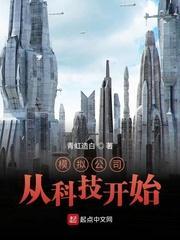 模拟公司创立