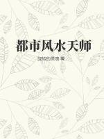 都市风水天师免费阅读全文