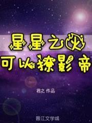 星星之火可以撩你晋江