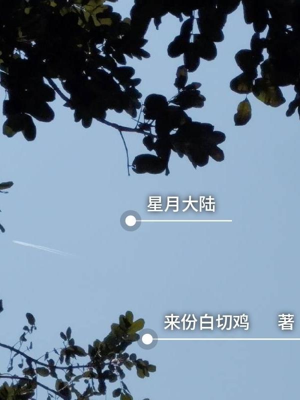 星月大陆旧书