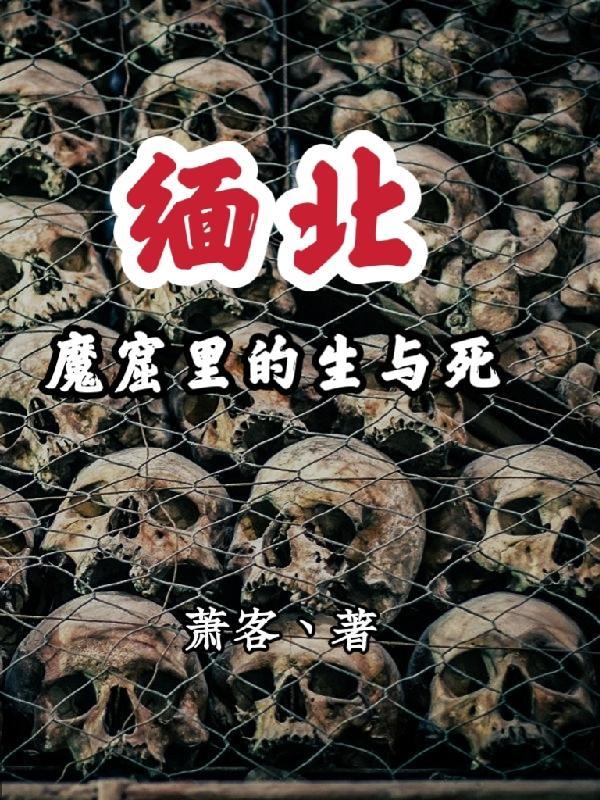 缅北魔窟里的生与死无删减