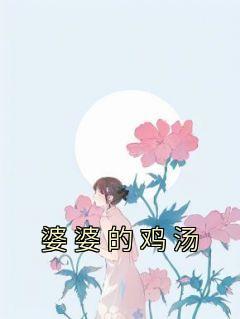 婆婆的鸡汤