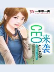 CEO来袭