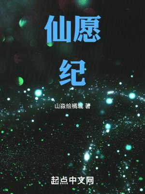 仙愿纪